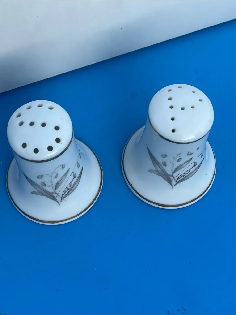Cottagecore Porcelain White Salt & Pepper Shakers with Floral Motif & gold trim